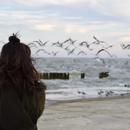 Apartment White Pearl 2.02 *