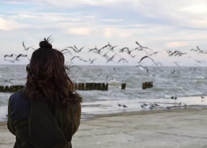 Apartment White Pearl 2.02 *